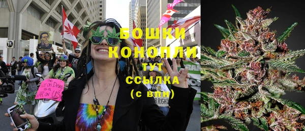 стафф Бронницы