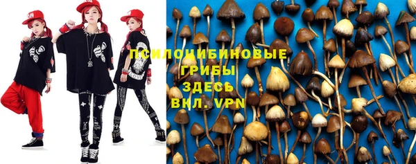 стафф Бронницы
